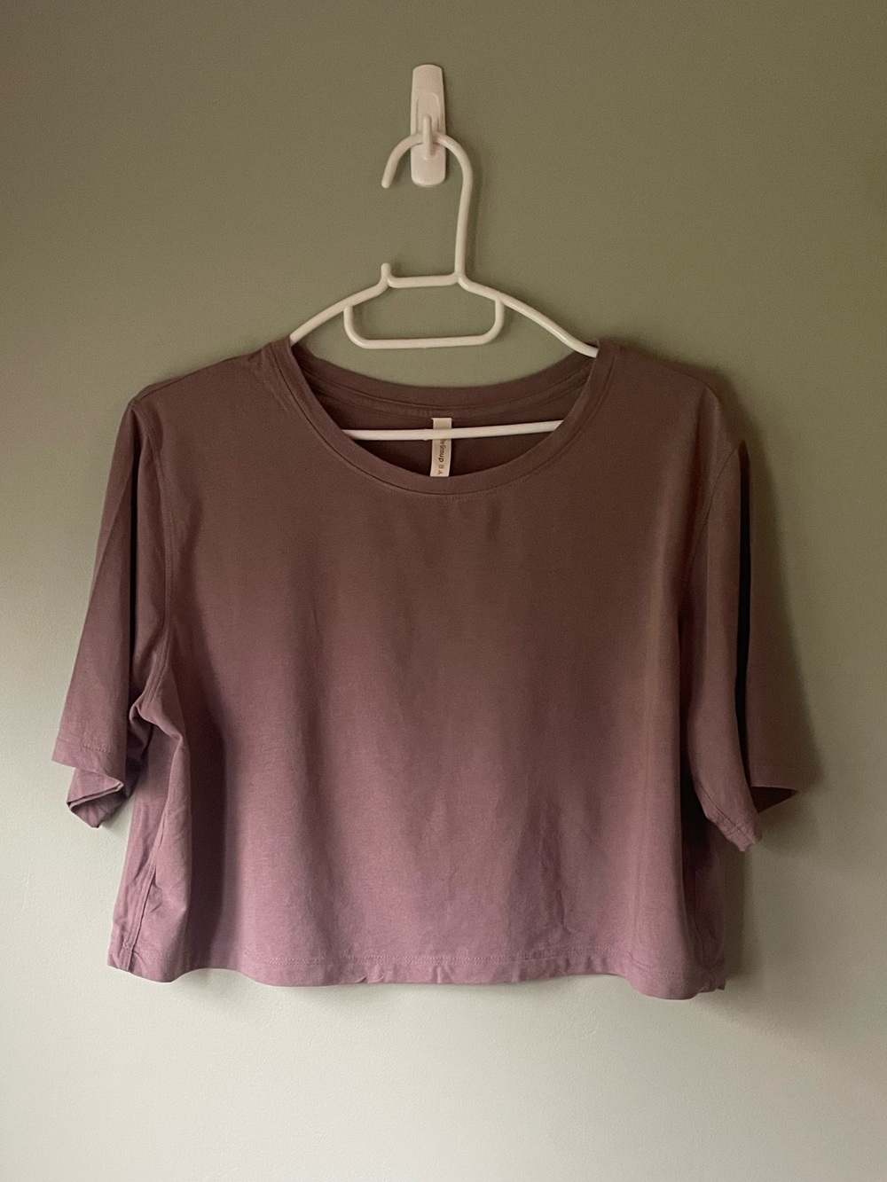 Aritzia Babaton Foundation Cropped Loose Tee in Shadow Mauve